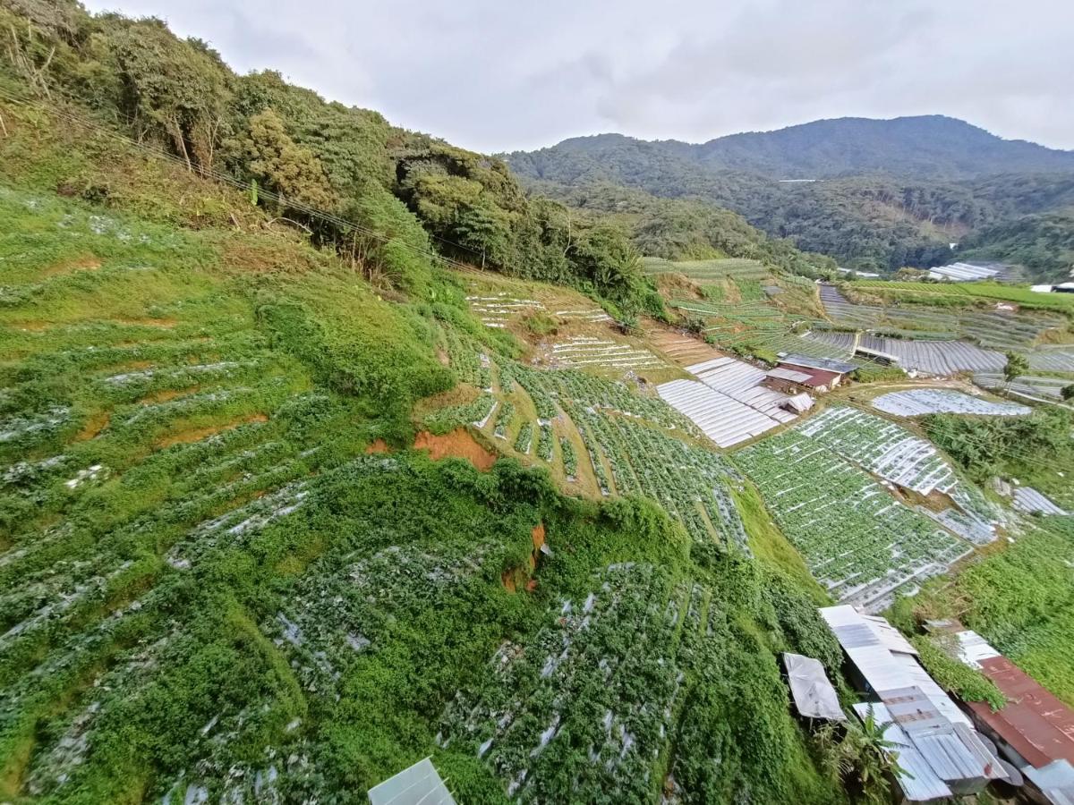 Dream 2 Lejlighed Cameron Highlands Eksteriør billede